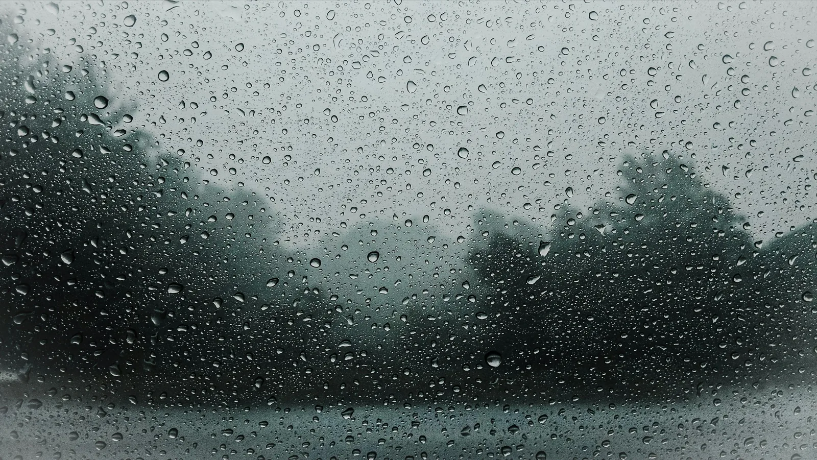佈滿雨滴的窗玻璃，窗外是灰濛濛天空下失焦的樹影